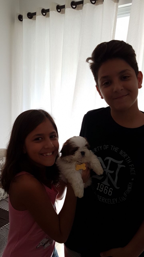 Filhotes vendidos no seu novo lar